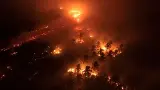 12 Ribu Hektare Lahan Terbakar di Kalsel, BPBD Catat 17.093 Titik Panas