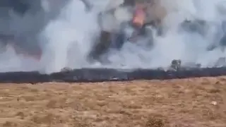 Kebakaran Melanda Surya Kencana Gunung Gede Pangrango, Semua Jalur Pendakian Ditutup 5 Hari