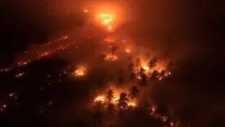 12 Ribu Hektare Lahan Terbakar di Kalsel, BPBD Catat 17.093 Titik Panas
