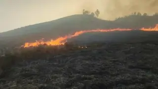 Bukit Teletubbies Bromo Terbakar Lagi, Pintu Masuk Jemplang Ditutup Sementara