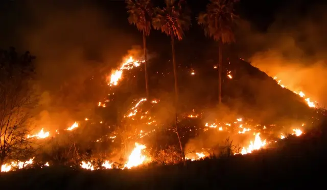 Sabana di Dekat Hotel Bintang 5 Labuan Bajo Terbakar, Sembilan Petugas Diturunkan