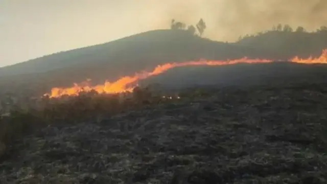 Bukit Teletubbies Bromo Terbakar Lagi, Pintu Masuk Jemplang Ditutup Sementara