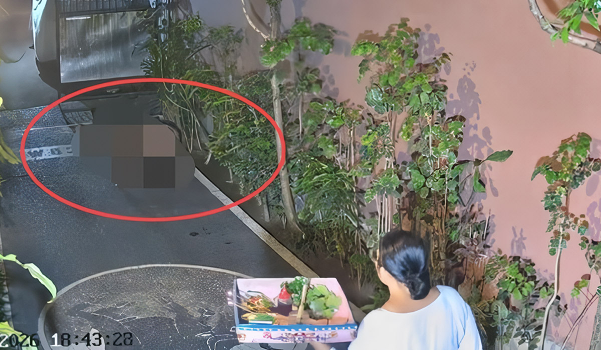 Bule Australia Ini Pikir Mesum di Pekarangan Rumah Orang Itu Wajar di Bali, Astaga !