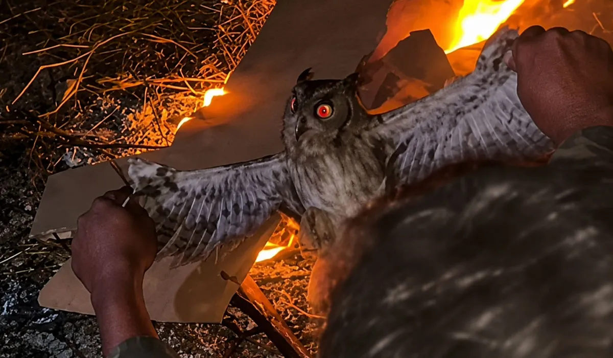Percaya Mitos Ilmu Hitam, Tiga Pria NTT Ini Bakar Burung Hantu Hidup-Hidup