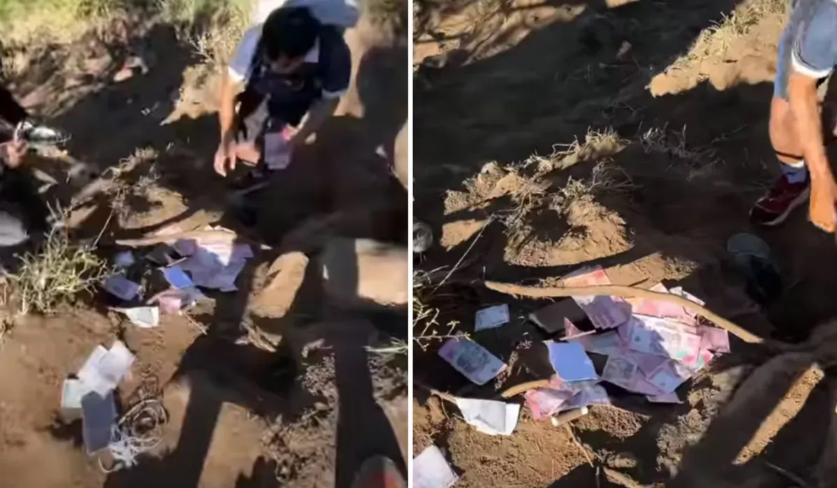 Uang Wisatawan Amerika Berhamburan di Bukit Pergasingan, Ternyata Ulah Monyet Liar