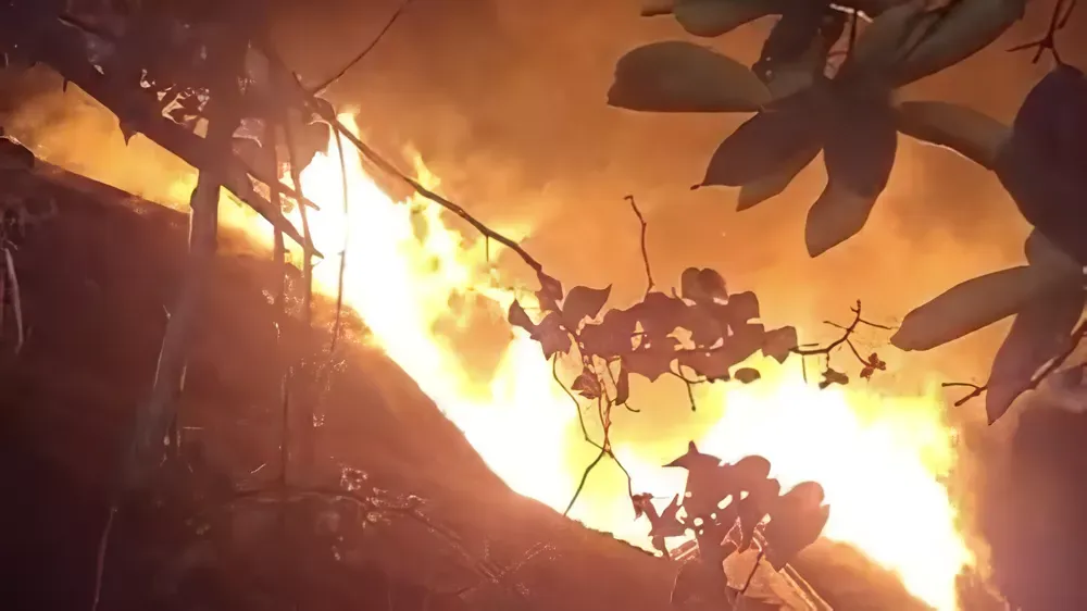 Kebakaran Landa Desa Adat Sade Lombok Tengah, Penyebab Belum Diketahui