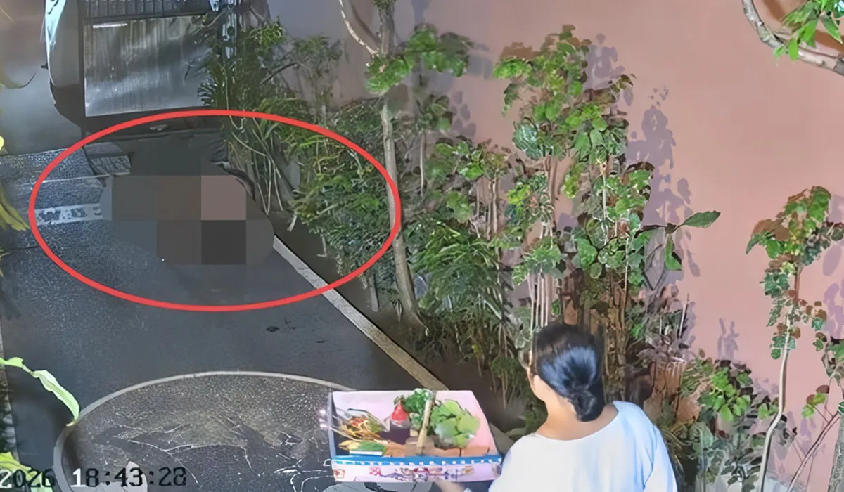 Lagi-Lagi Bule di Bali, Aksi Mesum di Pekarangan Rumah Warga Terekam CCTV