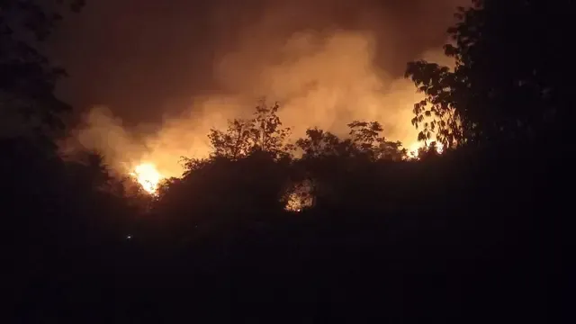 Gunung Geulis Sukabumi Terbakar, Api Merangsek ke Permukiman Warga