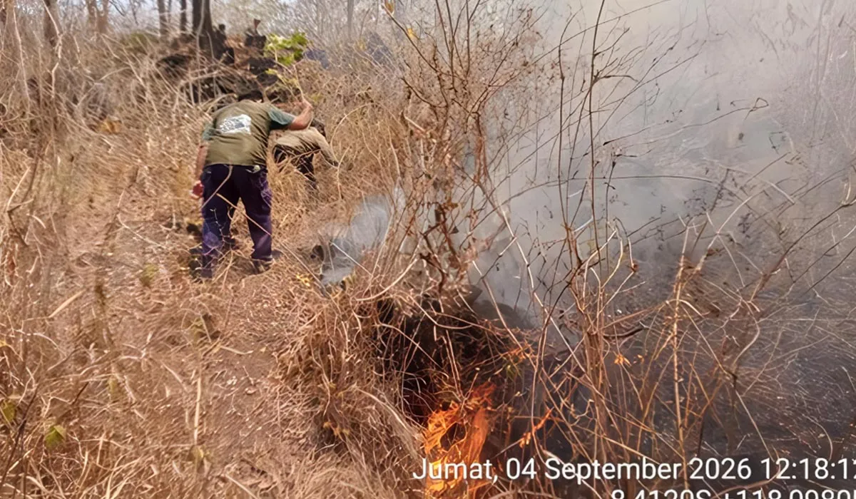 Tambora Terbakar 4 Hari, 834 Hektare Hangus di Tiga Lokasi