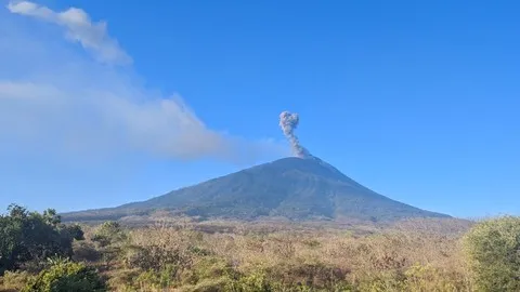 Gunung Ili Lewotolok Kembali Erupsi, Letusan Terkuat Capai 600 Meter di Atas Puncak