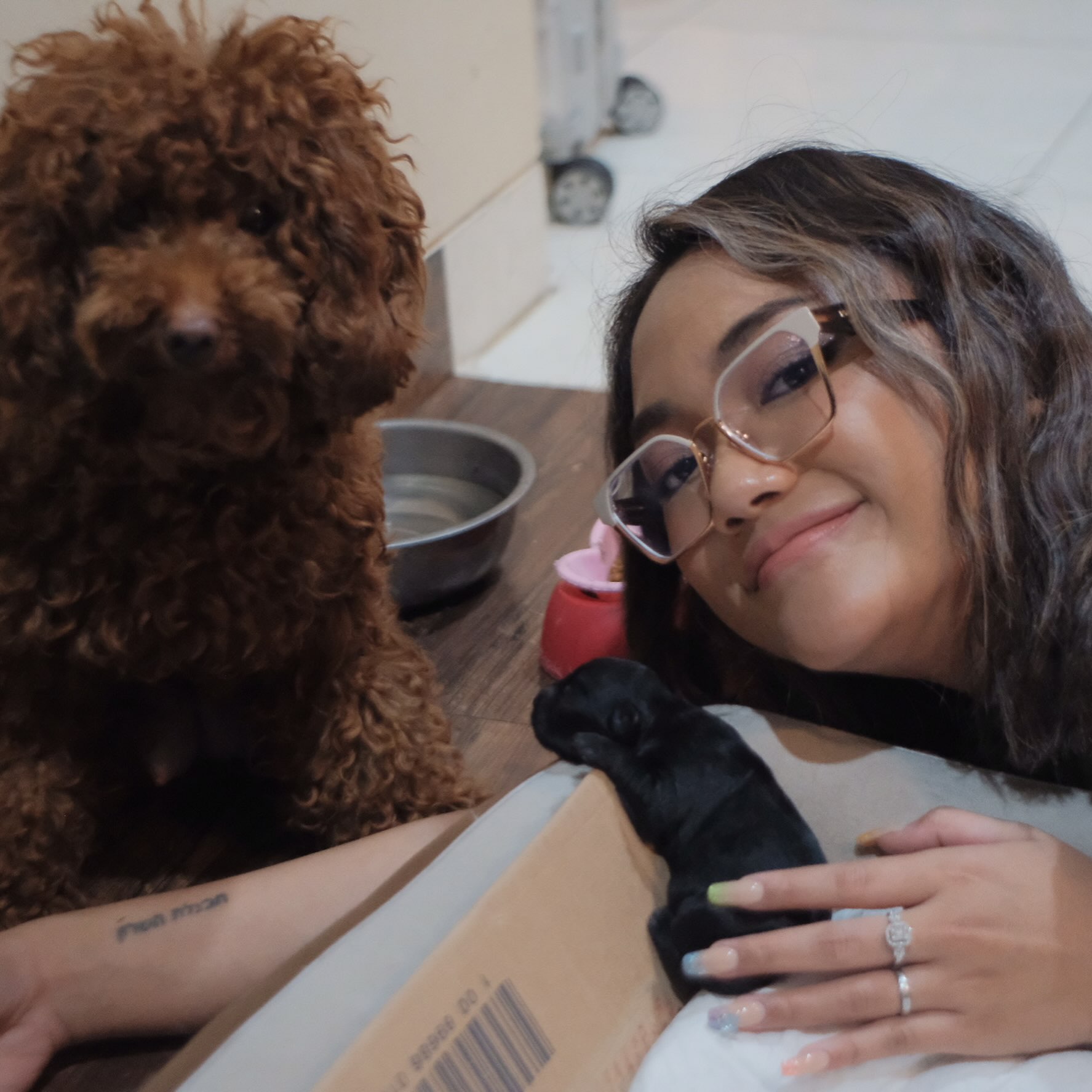 Marion Jola berduka anjing Lana meninggal